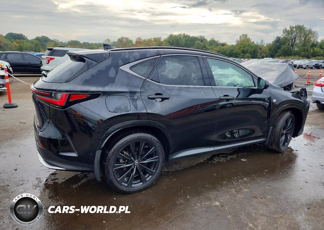 2025 Lexus Nx 450H+ F Sport Handling VIN:JTJKKCFZ3S2043097 - 3