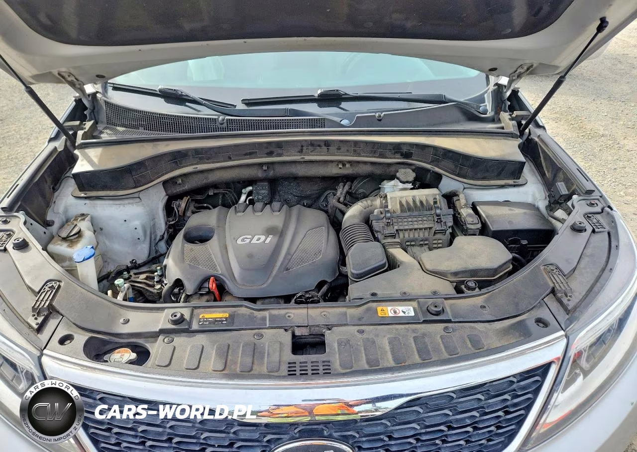 2014 Kia Sorento Lx VIN:5XYKTCA61EG465067 - 12