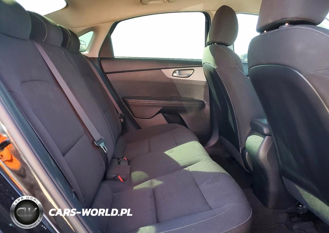 2019 Kia Forte Lxs VIN:3KPF24AD3KE139420 - 10