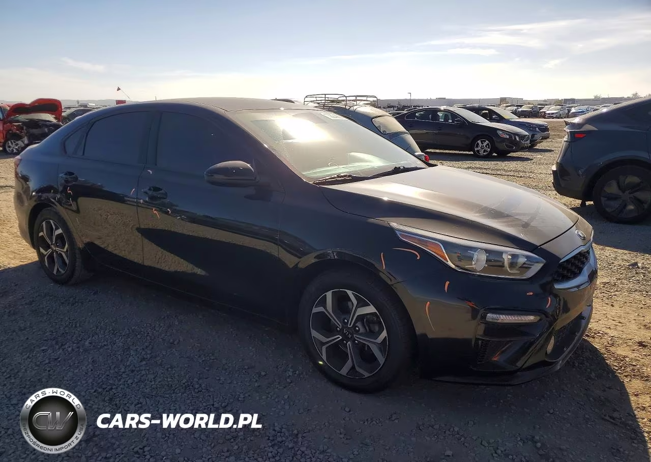 2019 Kia Forte Lxs VIN:3KPF24AD3KE139420 - 4