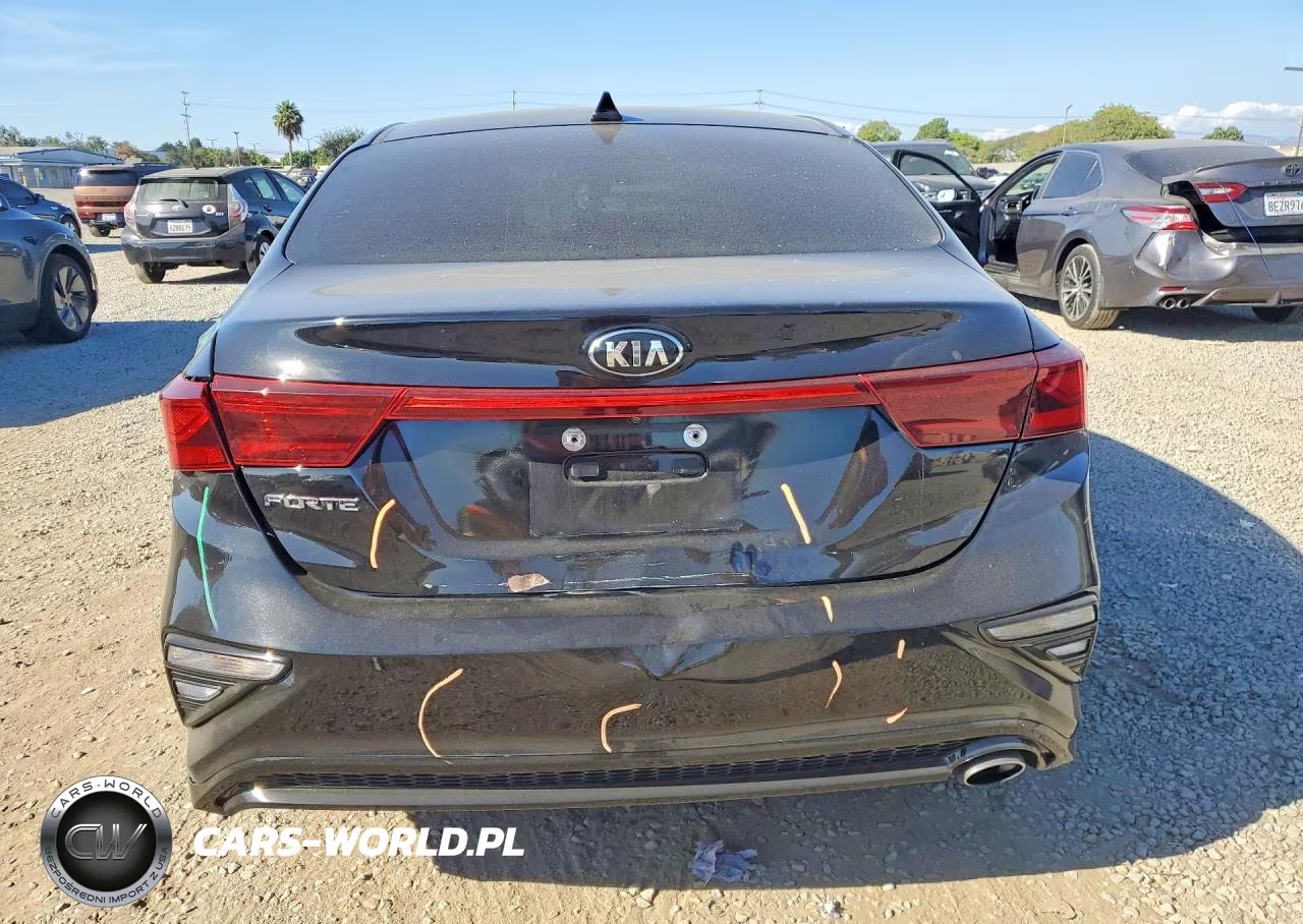 2019 Kia Forte Lxs VIN:3KPF24AD3KE139420 - 6