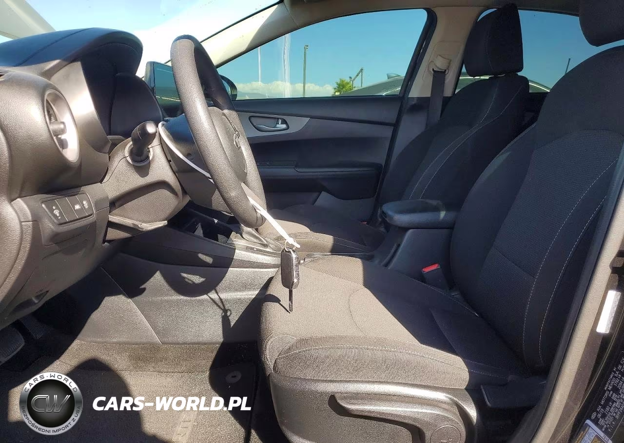 2019 Kia Forte Lxs VIN:3KPF24AD3KE139420 - 7