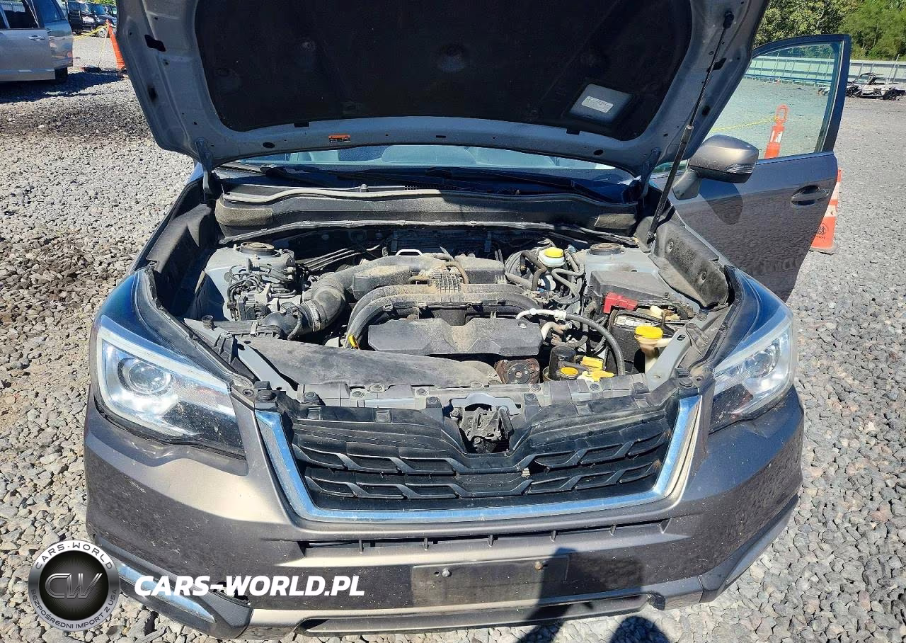 2018 Subaru Forester 2.5I Touring VIN:JF2SJAWC2JH541343 - 11