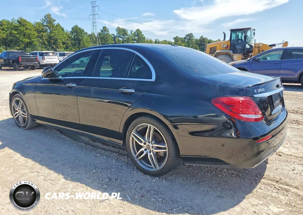 2019 Mercedes-Benz E 300 VIN:WDDZF4JB4KA519665 - 2