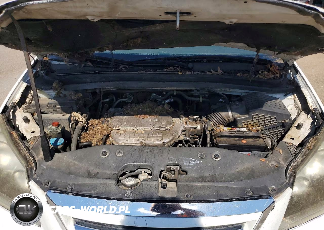 2007 Honda Odyssey Touring VIN:5FNRL38807B013062 - 12