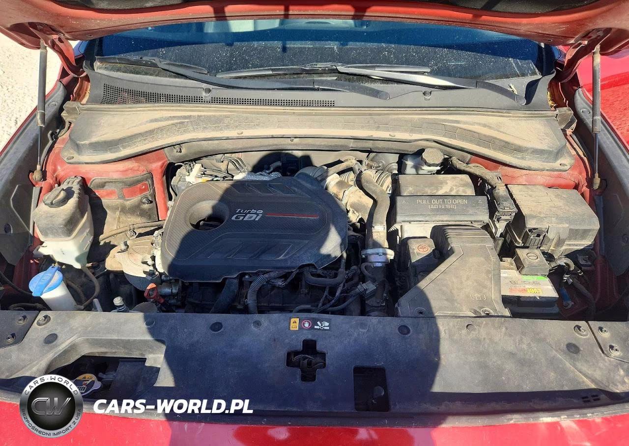 2019 Hyundai Santa Fe Limited 2.0T VIN:5NMS53AA6KH039990 - 11
