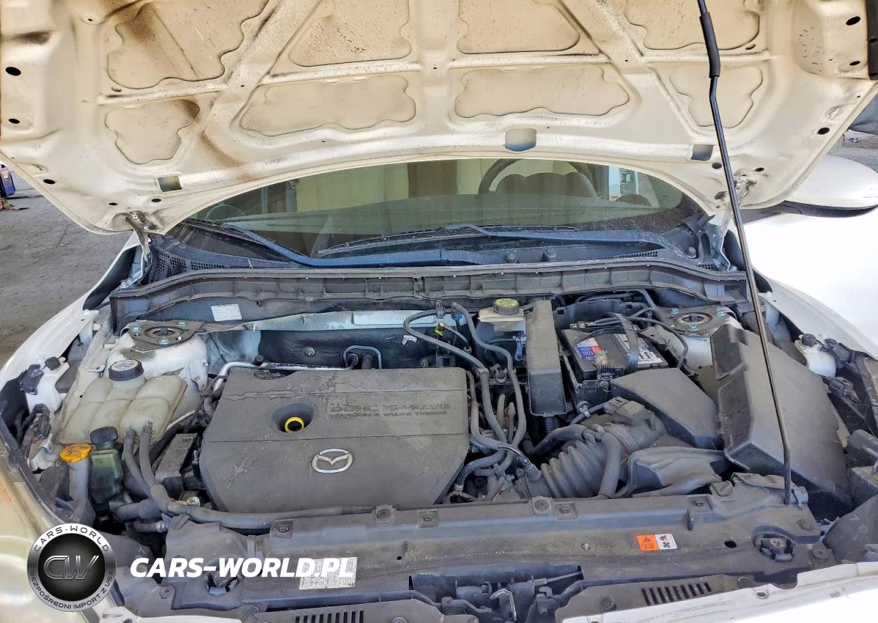 2010 Mazda 3 I VIN:JM1BL1SG1A1125746 - 11