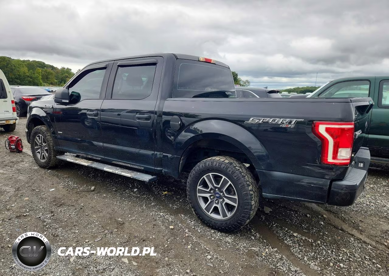 2015 Ford F150 Supercrew VIN:1FTEW1EP7FFC71935 - 2