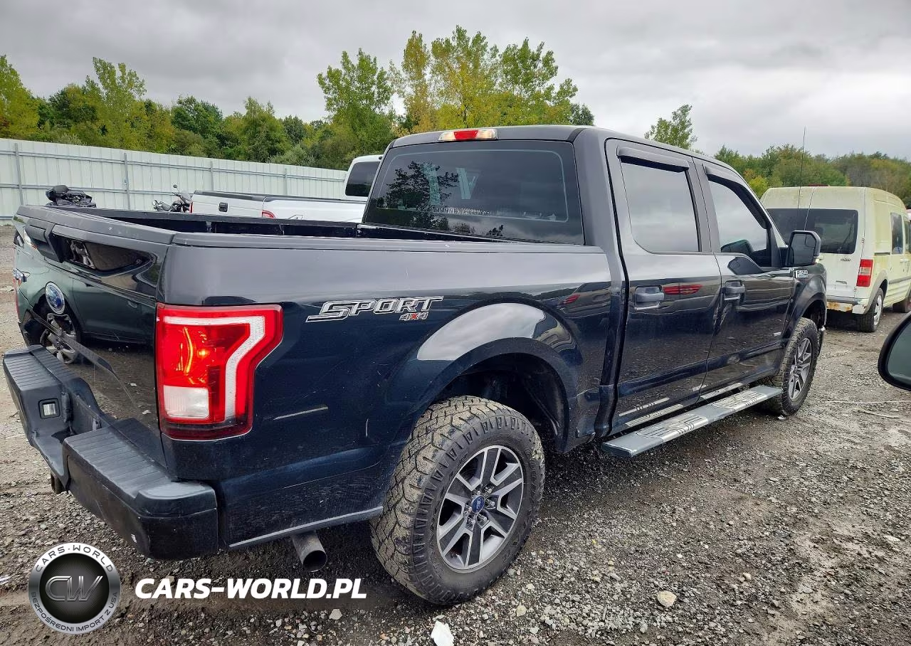 2015 Ford F150 Supercrew VIN:1FTEW1EP7FFC71935 - 3