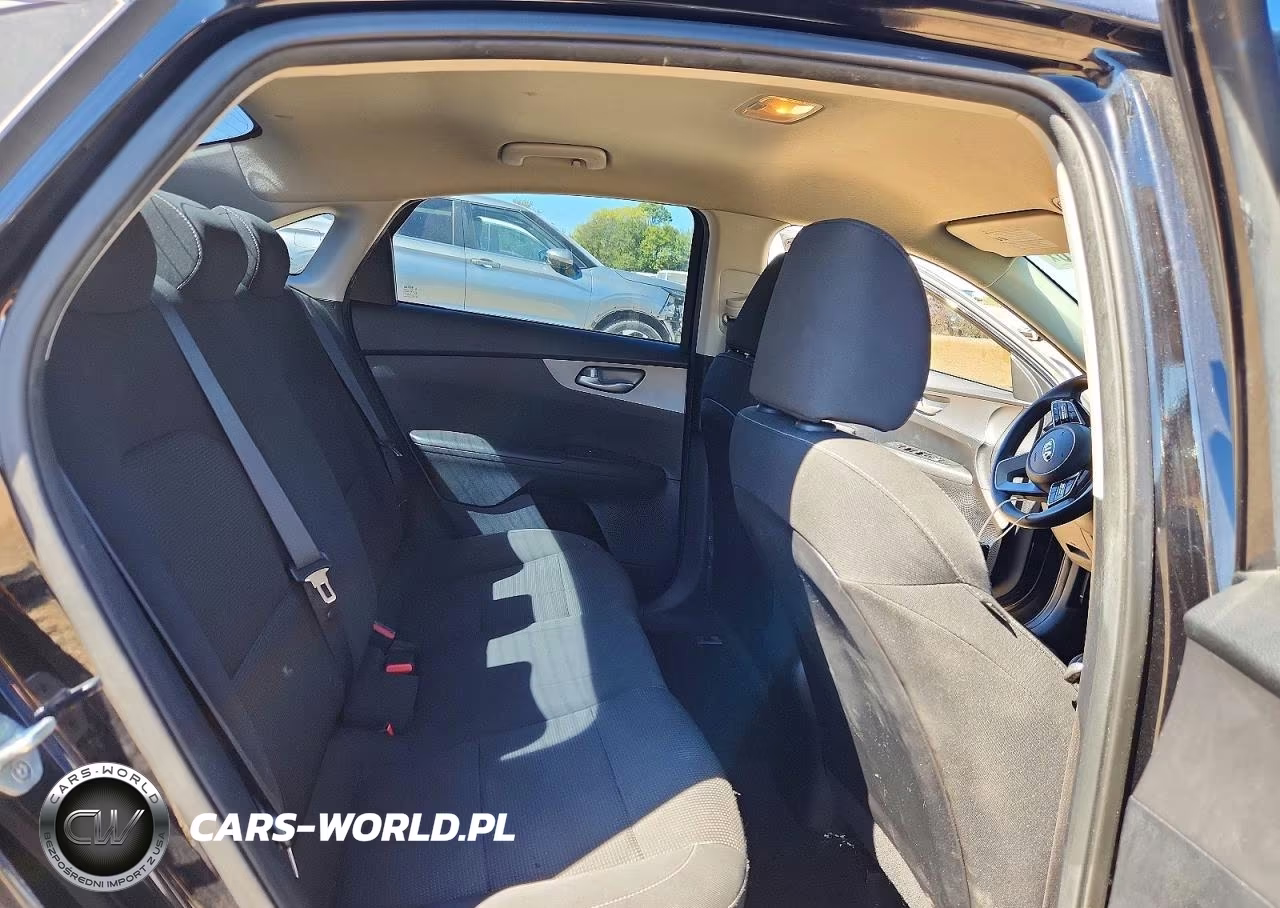 2019 Kia Forte Fe VIN:3KPF24AD0KE033555 - 10