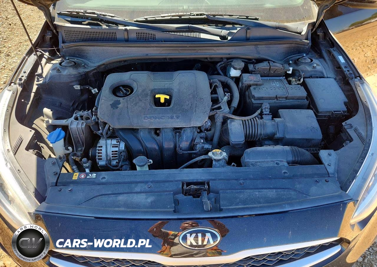 2019 Kia Forte Fe VIN:3KPF24AD0KE033555 - 11