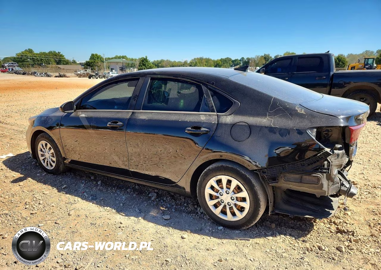 2019 Kia Forte Fe VIN:3KPF24AD0KE033555 - 2