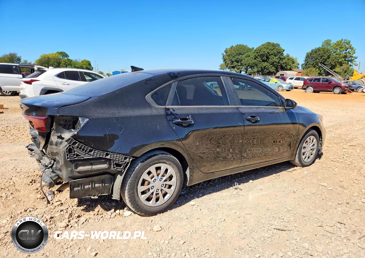 2019 Kia Forte Fe VIN:3KPF24AD0KE033555 - 3