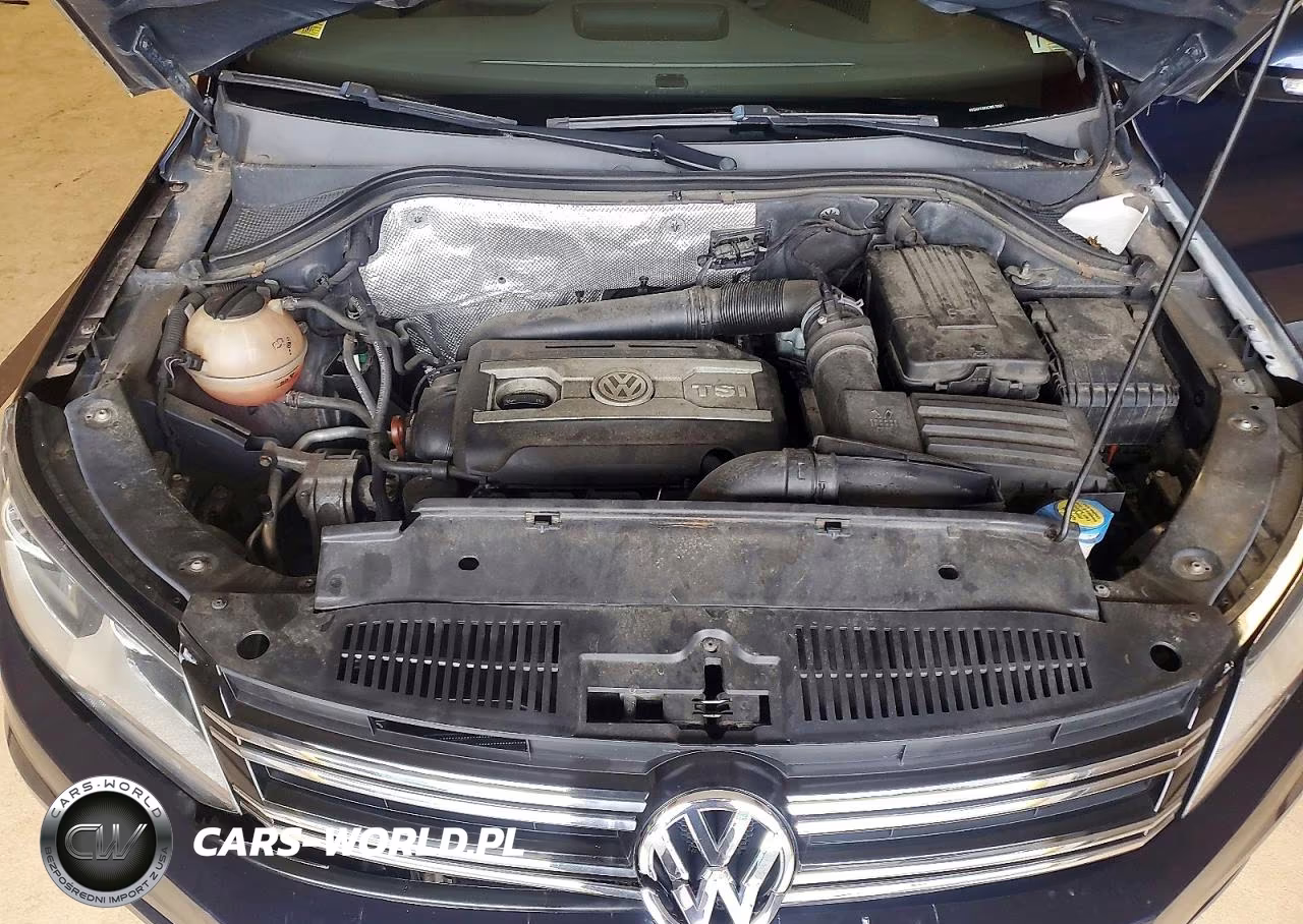 2012 Volkswagen Tiguan S VIN:WVGAV7AX2CW578981 - 11