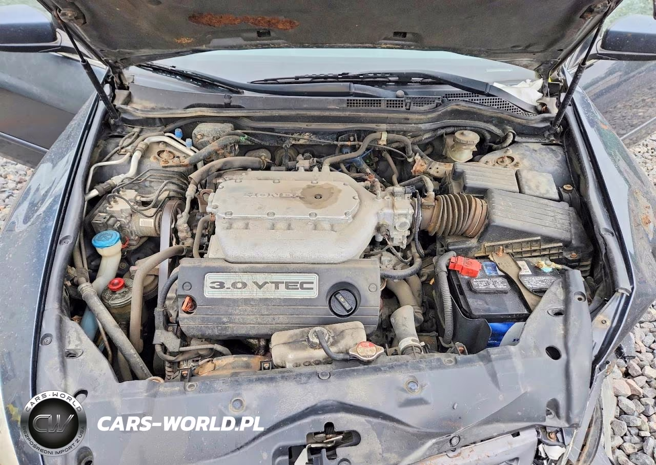 2004 Honda Accord Lx VIN:1HGCM66304A075448 - 11