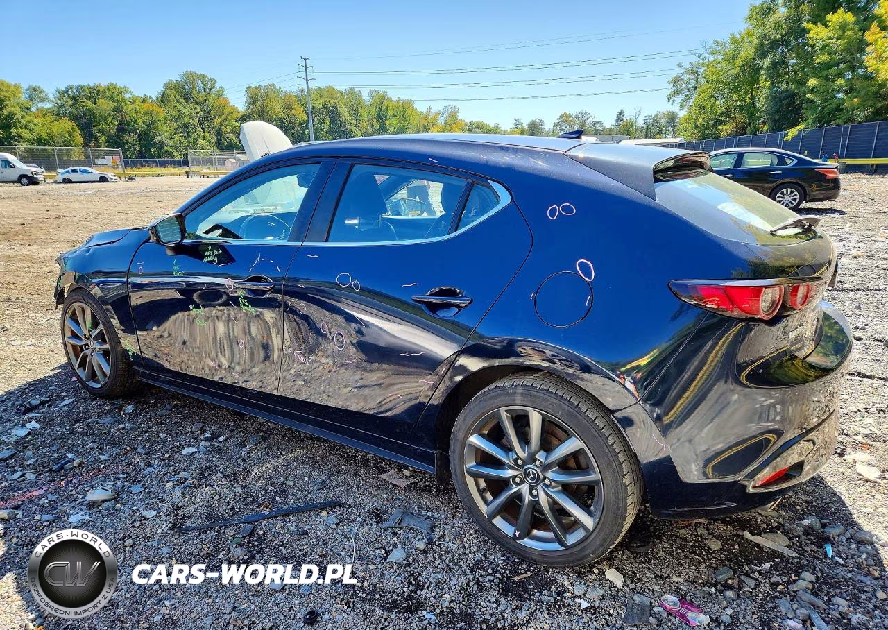 2019 Mazda 3 Preferred VIN:JM1BPAMM3K1118077 - 2