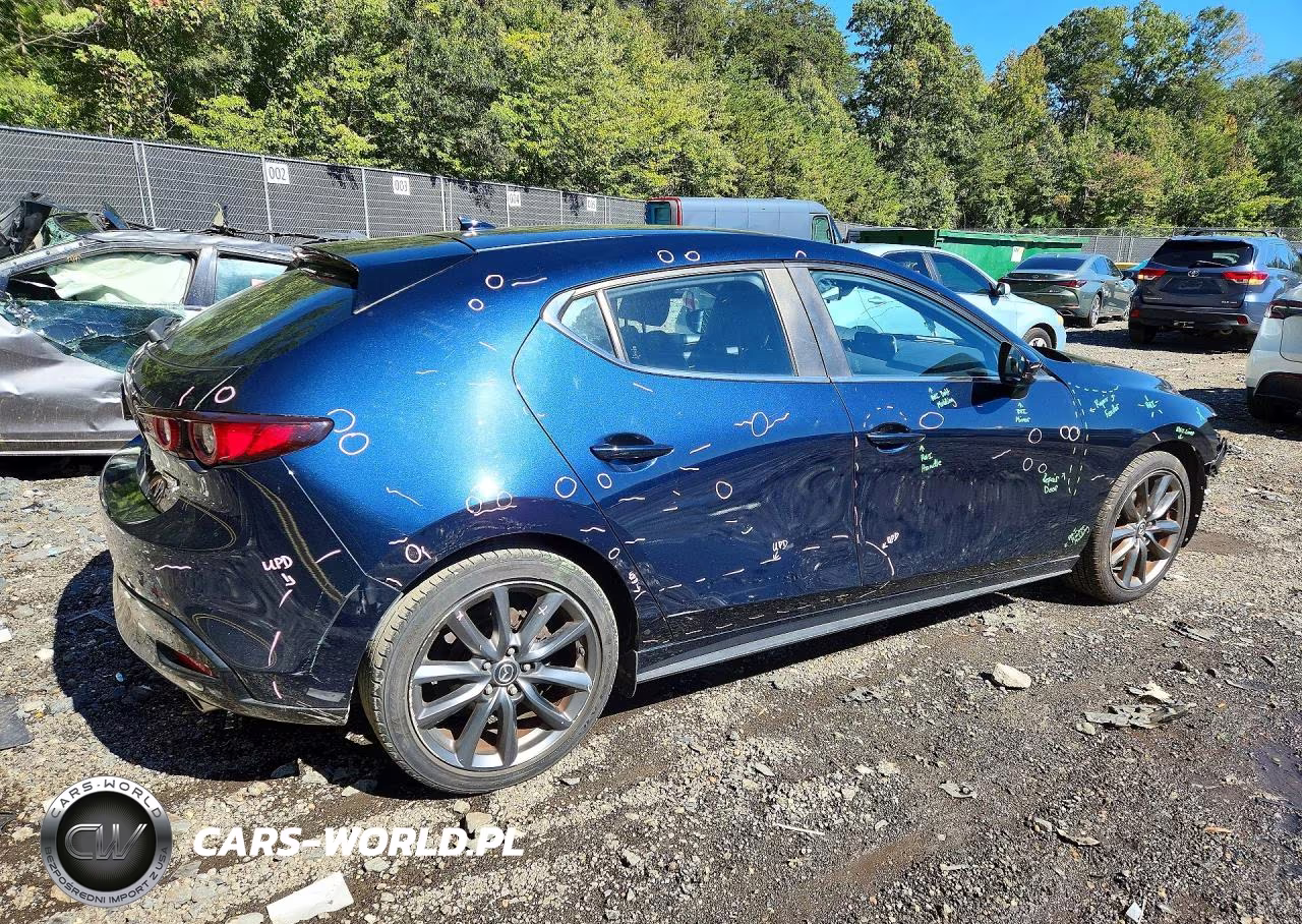 2019 Mazda 3 Preferred VIN:JM1BPAMM3K1118077 - 3
