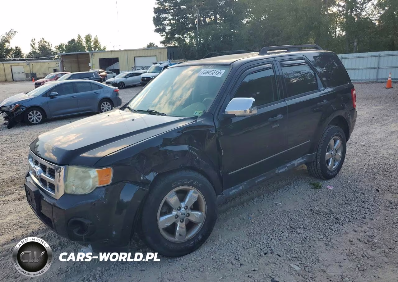 2009 Ford Escape Xlt