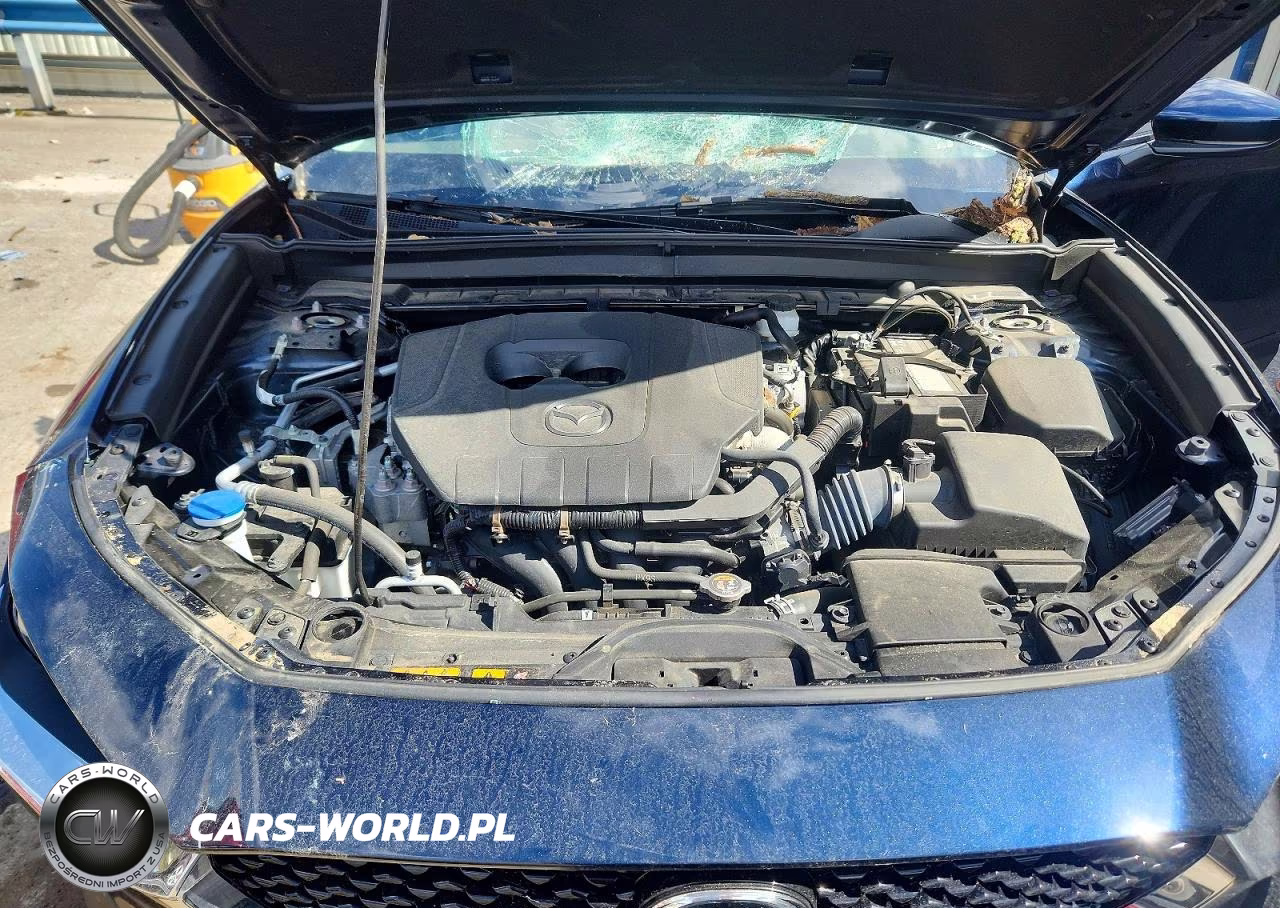 2024 Mazda Cx-30 Premium VIN:3MVDMBDM5RM609334 - 12