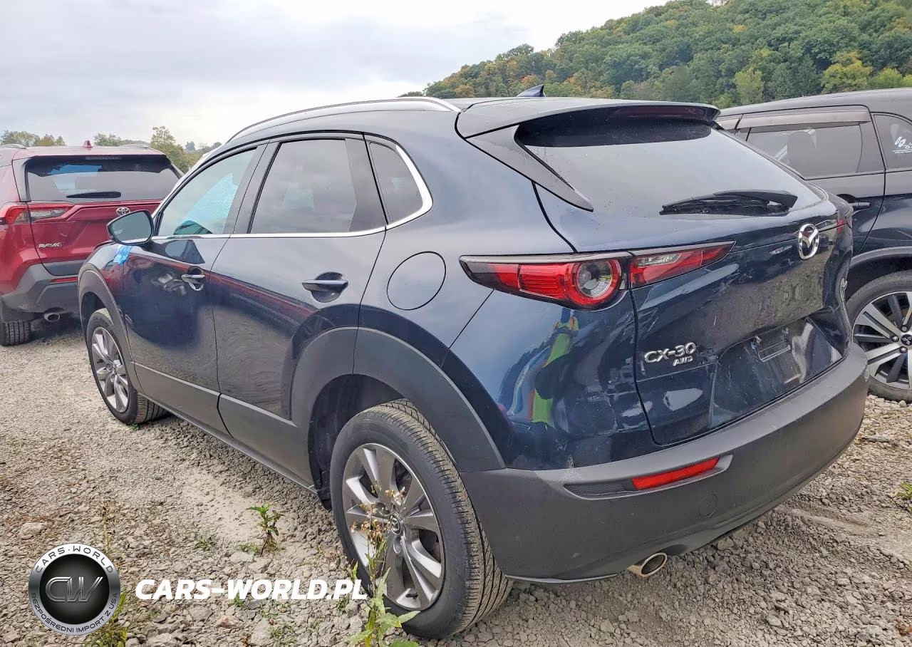 2024 Mazda Cx-30 Premium VIN:3MVDMBDM5RM609334 - 2