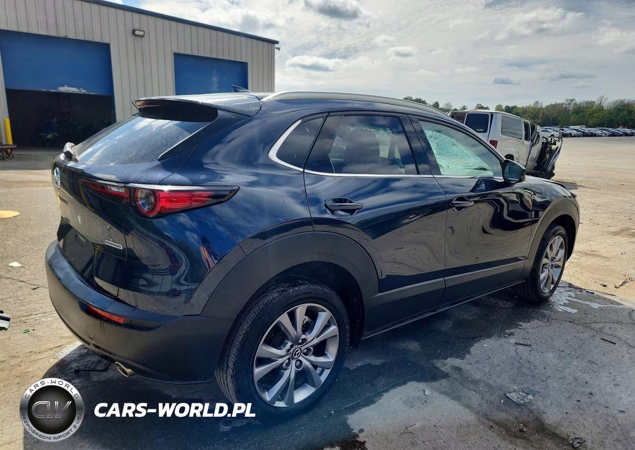 2024 Mazda Cx-30 Premium VIN:3MVDMBDM5RM609334 - 3