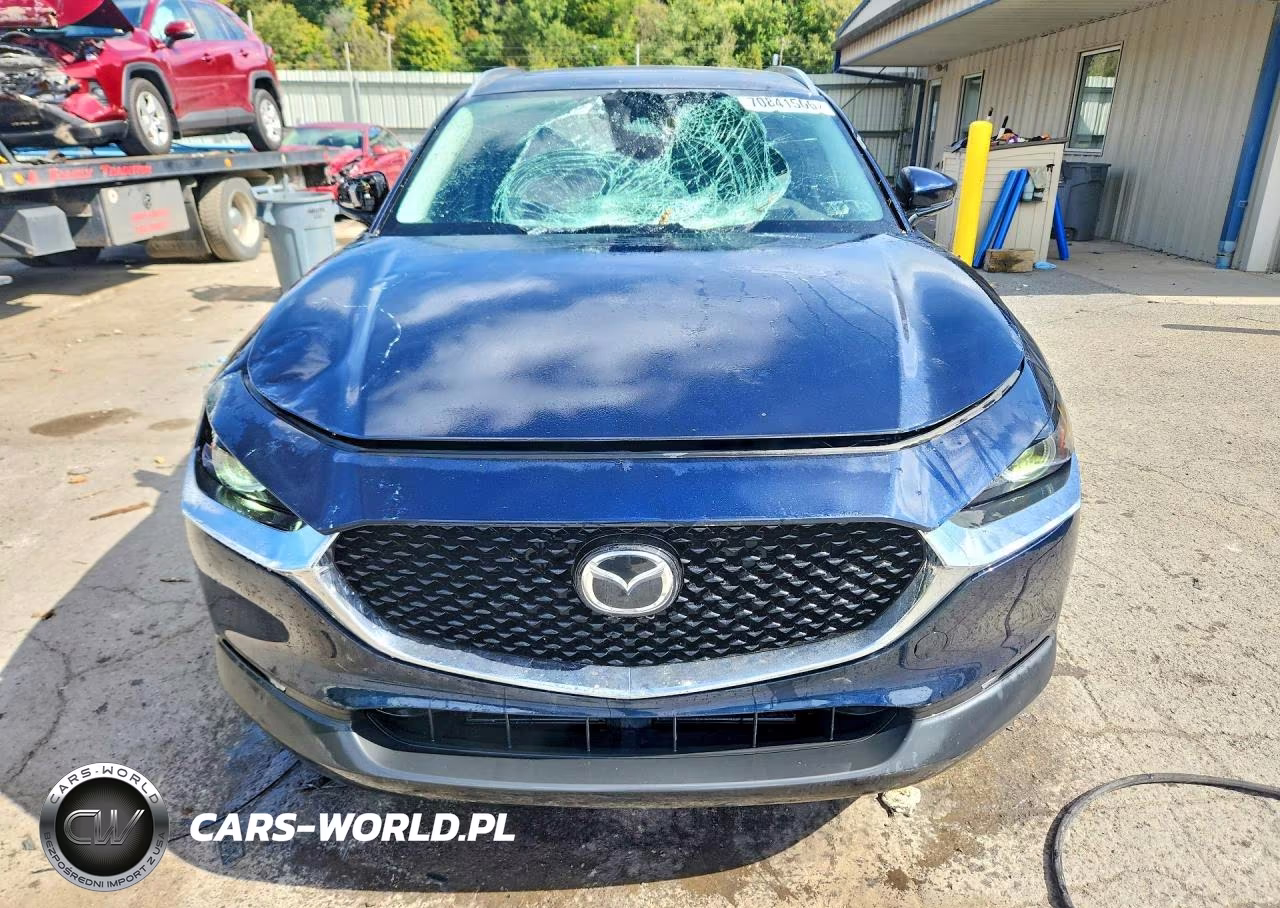 2024 Mazda Cx-30 Premium VIN:3MVDMBDM5RM609334 - 5
