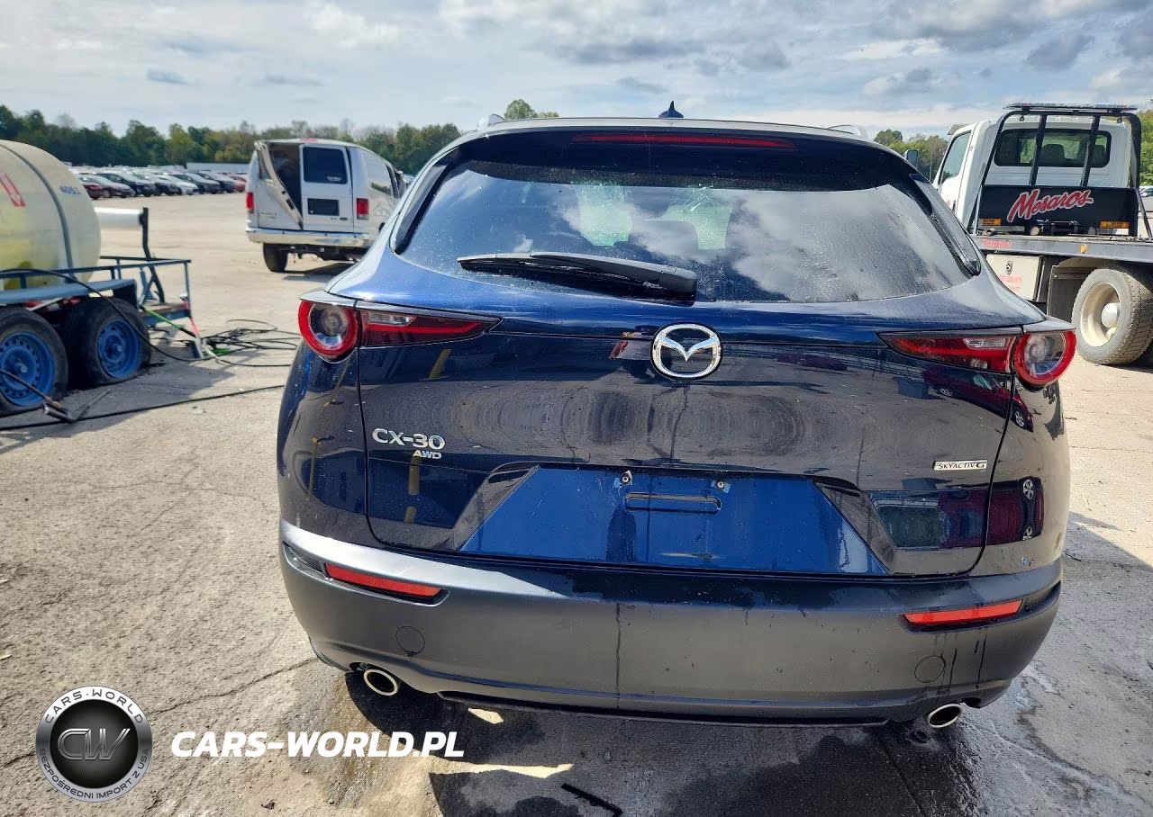 2024 Mazda Cx-30 Premium VIN:3MVDMBDM5RM609334 - 6