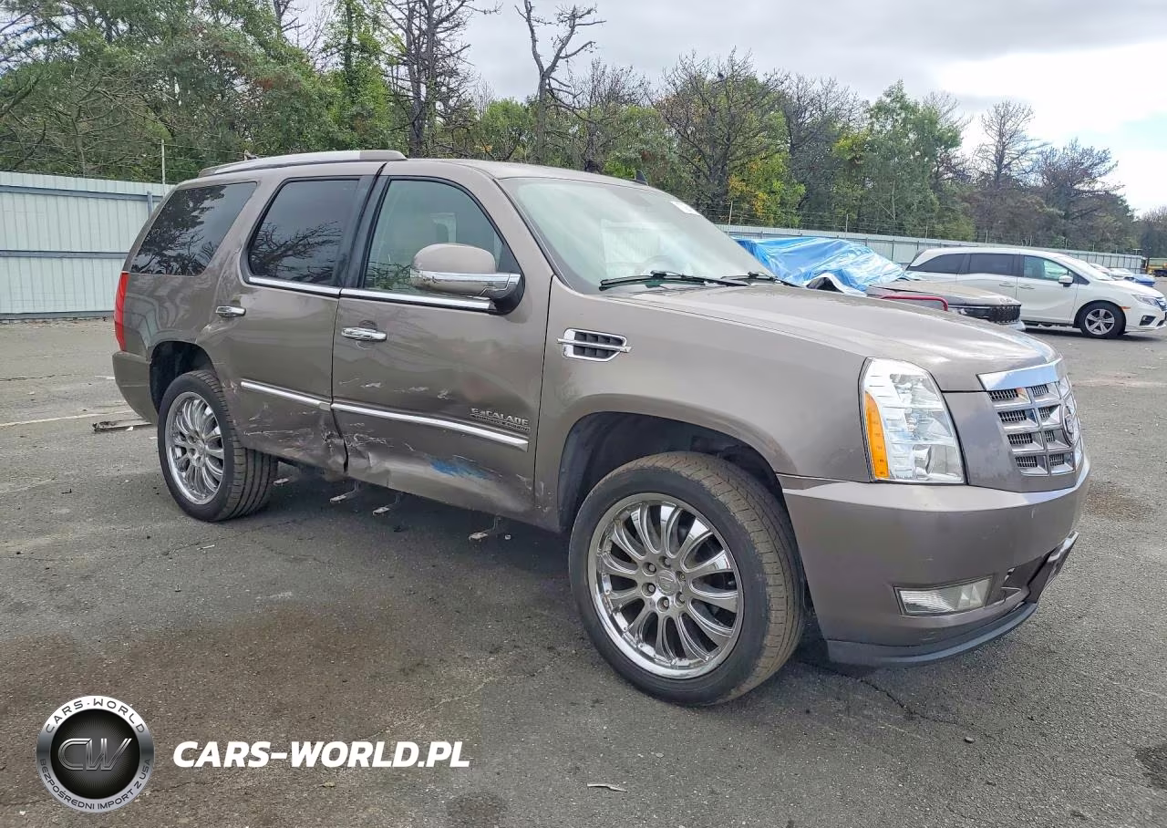2011 Cadillac Escalade VIN:1GYS4AEF5BR328667 - 4