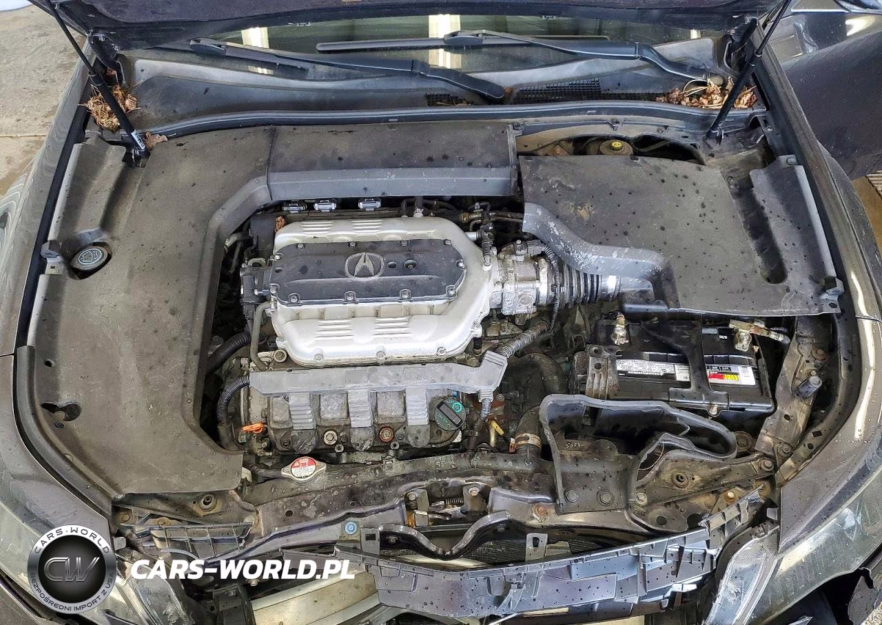 2012 Acura Tl VIN:19UUA9F5XCA012226 - 11