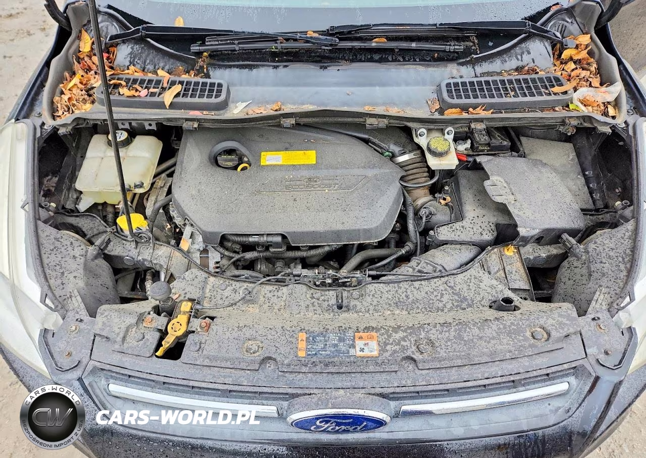 2015 Ford Escape Se VIN:1FMCU9GXXFUB86670 - 12