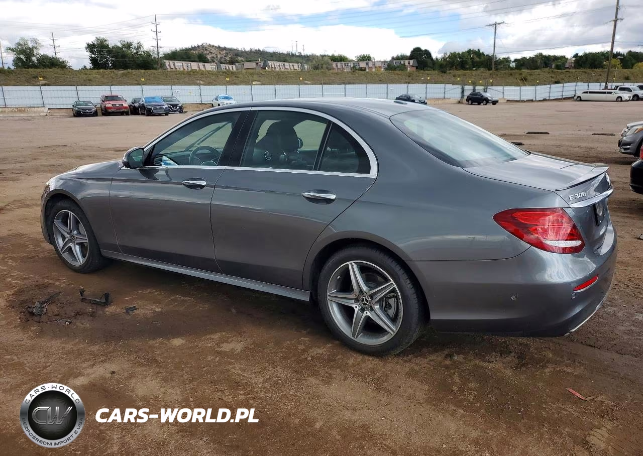 2019 Mercedes-Benz E 300 VIN:WDDZF4JB9KA523730 - 2