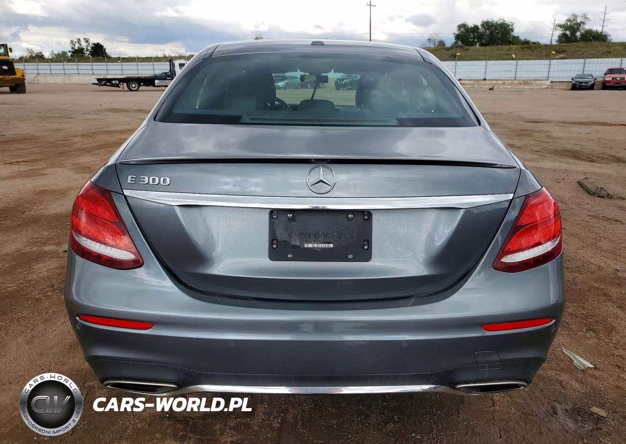 2019 Mercedes-Benz E 300 VIN:WDDZF4JB9KA523730 - 6