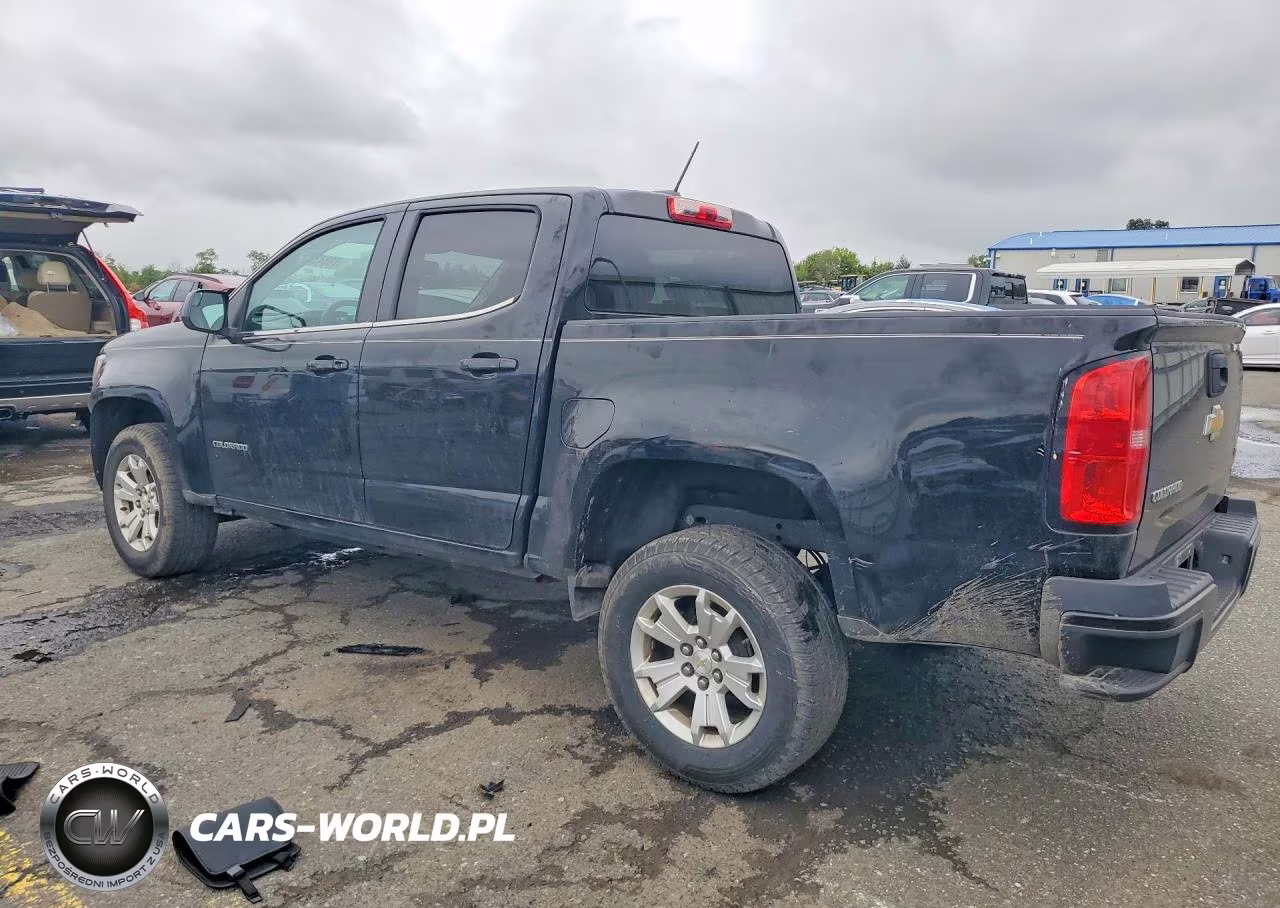 2016 Chevrolet Colorado Lt VIN:1GCGSCEA0G1318717 - 2