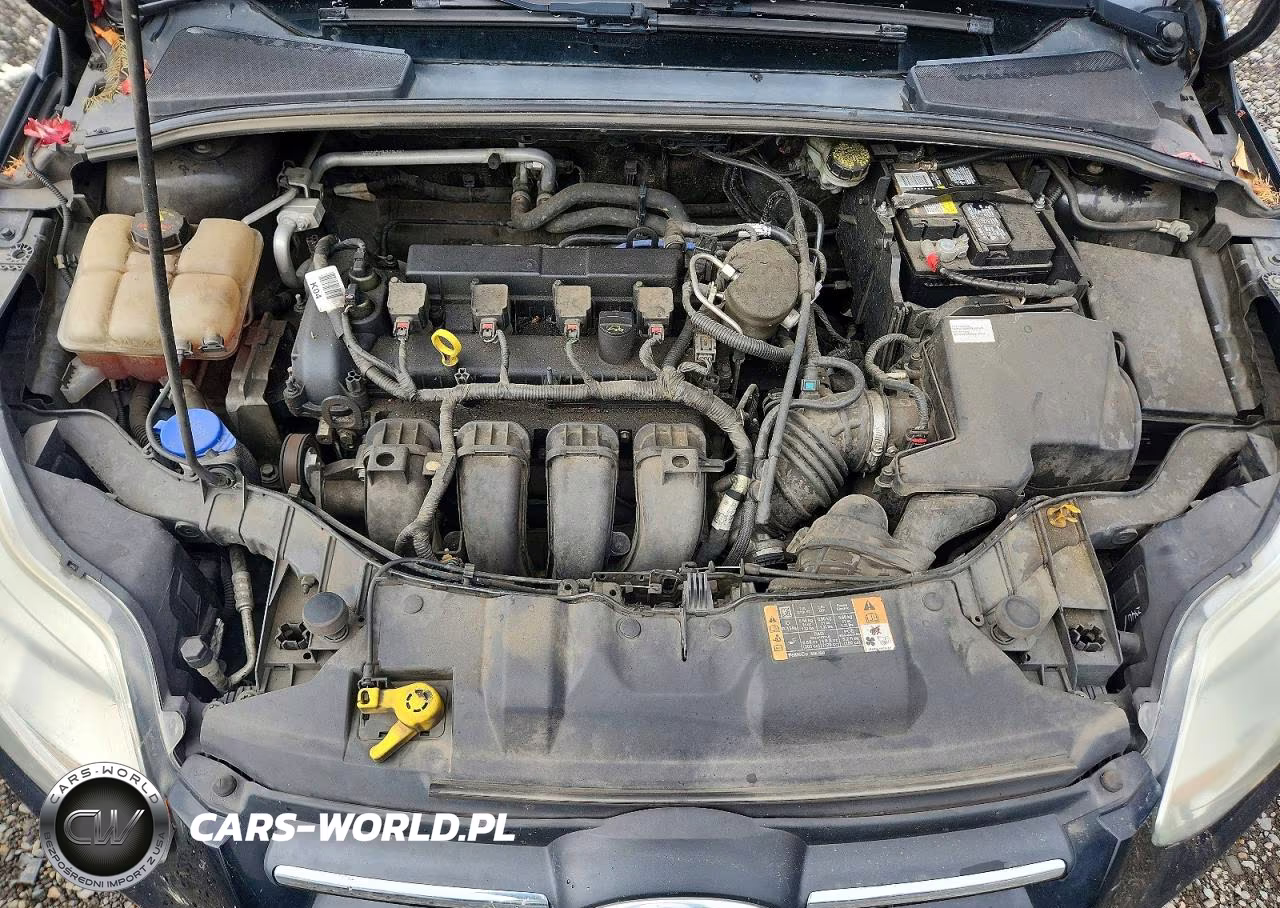 2014 Ford Focus Se VIN:1FADP3F22EL392255 - 11