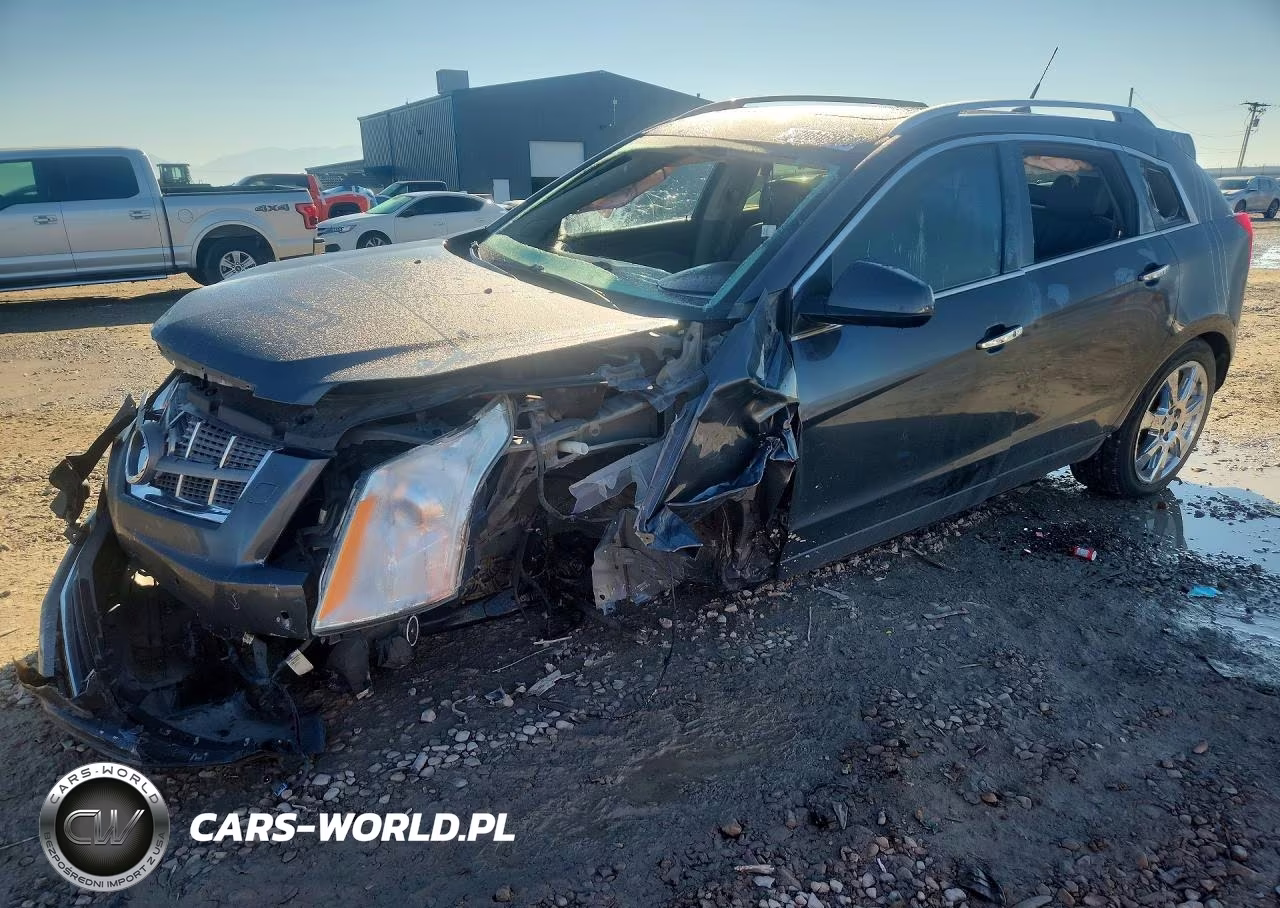2012 Cadillac Srx Premium Collection VIN:3GYFNFE39CS561984 - 1