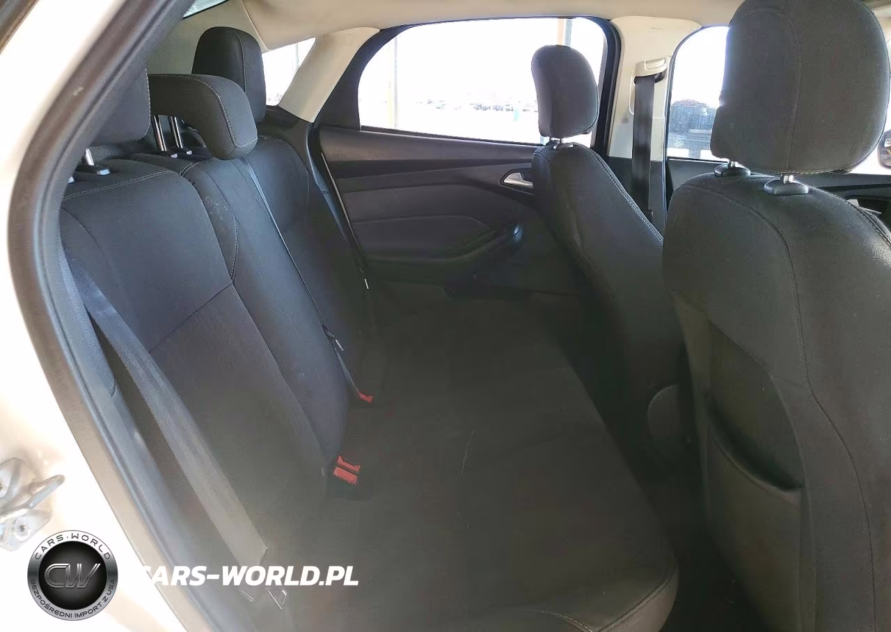 2016 Ford Focus Se VIN:1FADP3F24GL297960 - 10