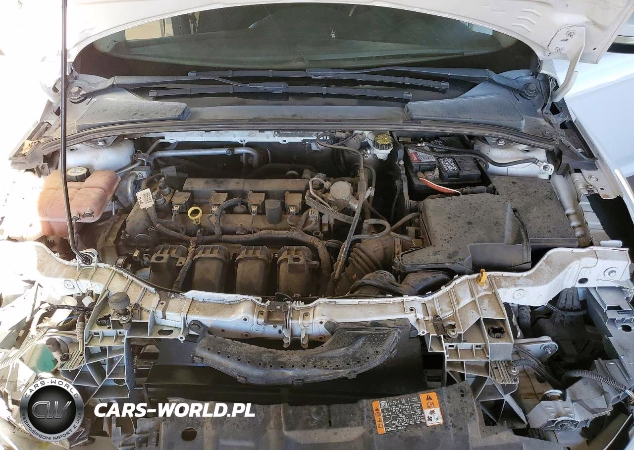 2016 Ford Focus Se VIN:1FADP3F24GL297960 - 11