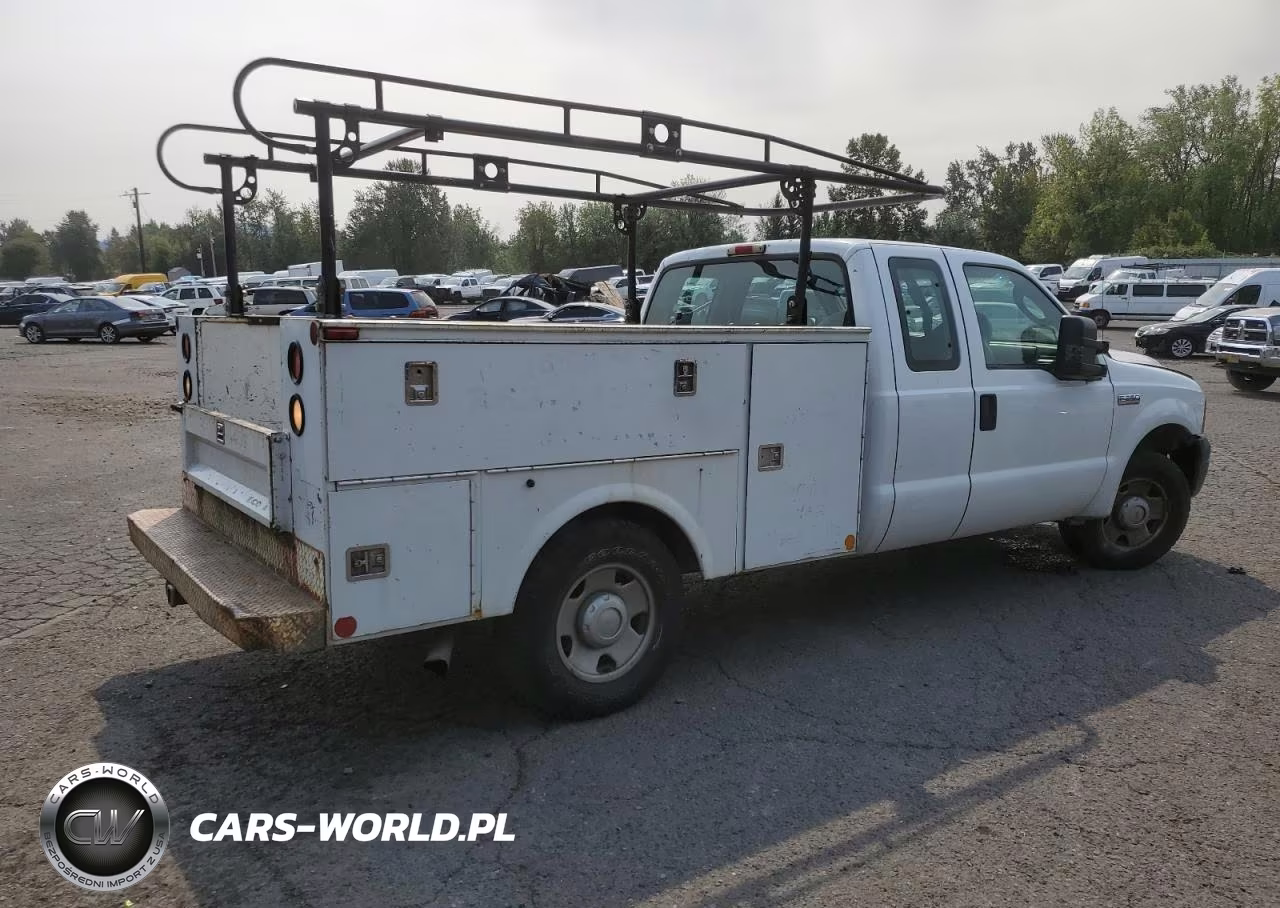 2006 Ford F250 Super Duty Super Duty VIN:1FDSX20546EB56142 - 3