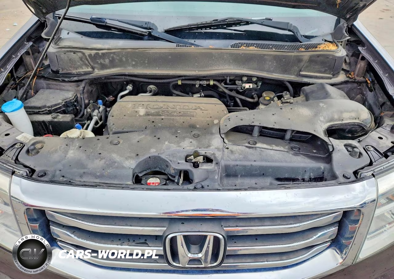 2013 Honda Pilot Exl VIN:5FNYF4H59DB016830 - 12