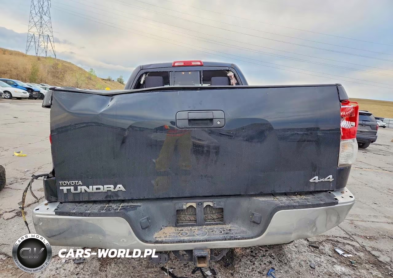 2010 Toyota Tundra Double Cab Sr5 VIN:5TFUM5F16AX007529 - 6