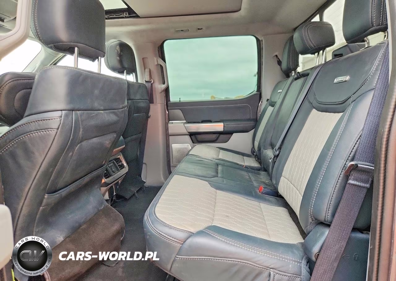 2023 Ford F250 Super Duty VIN:1FT8W2BM1PED61358 - 10