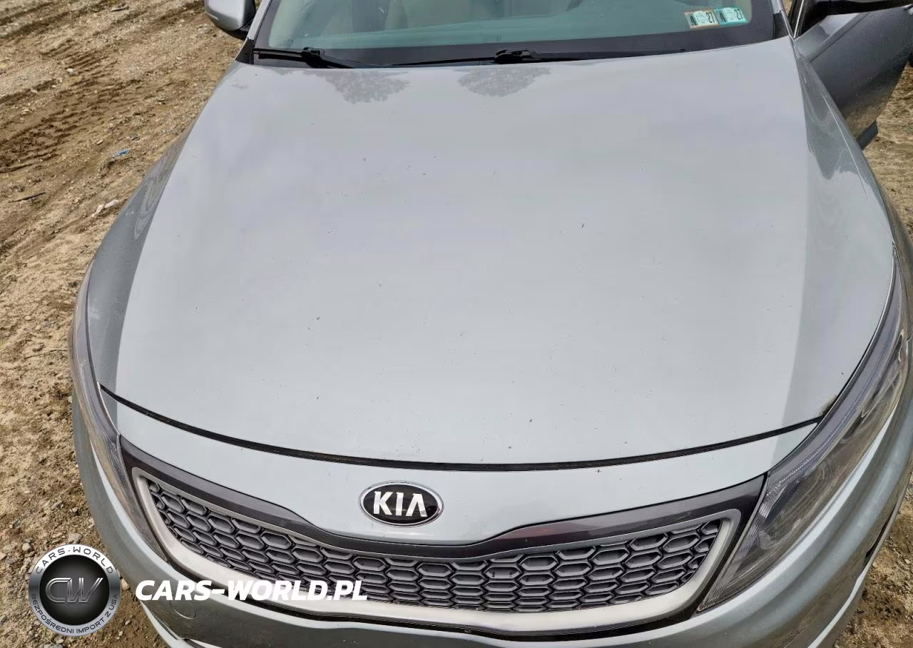 2015 Kia Optima Hybrid VIN:KNAGM4AD3F5079409 - 11