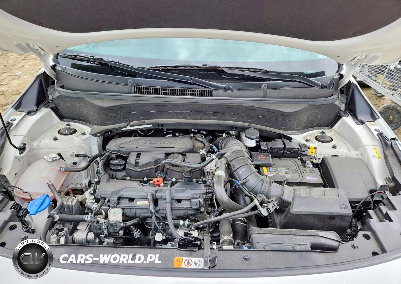 2024 Kia Seltos Sx VIN:KNDETCA70R7585757 - 12