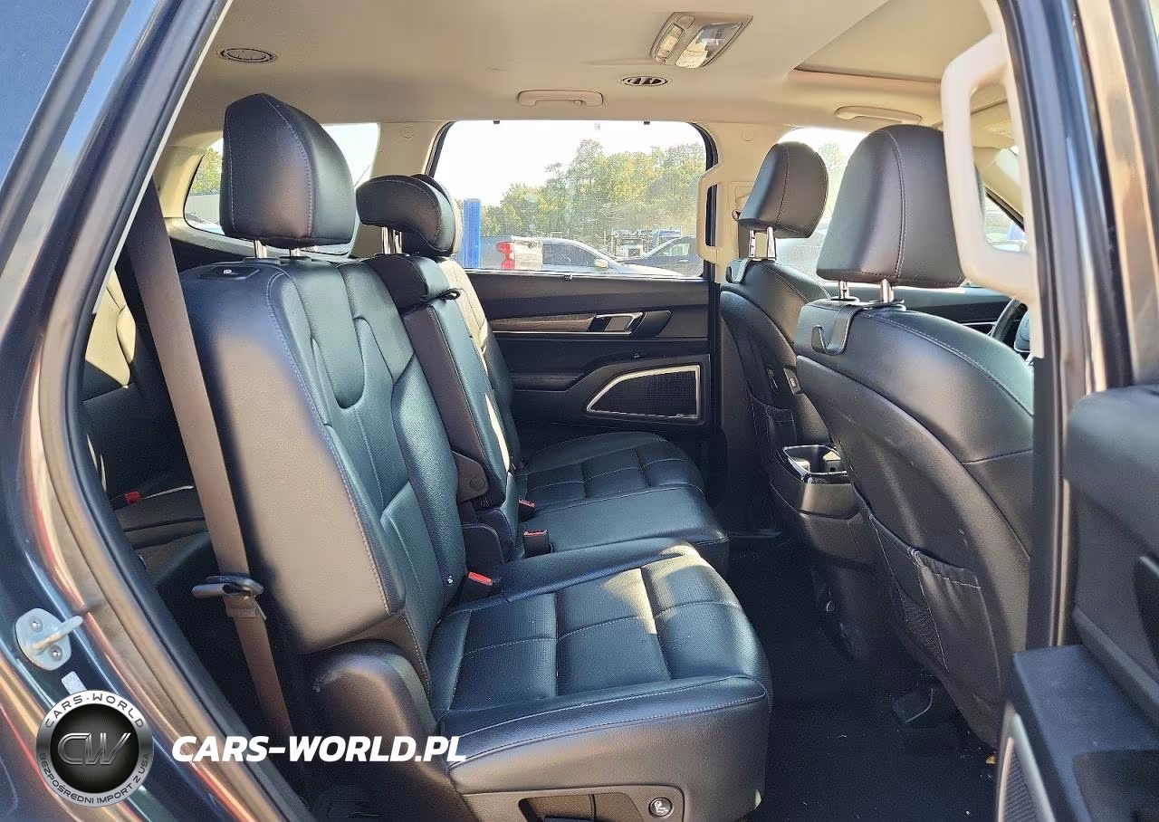 2020 Kia Telluride Ex VIN:5XYP3DHC0LG008027 - 11