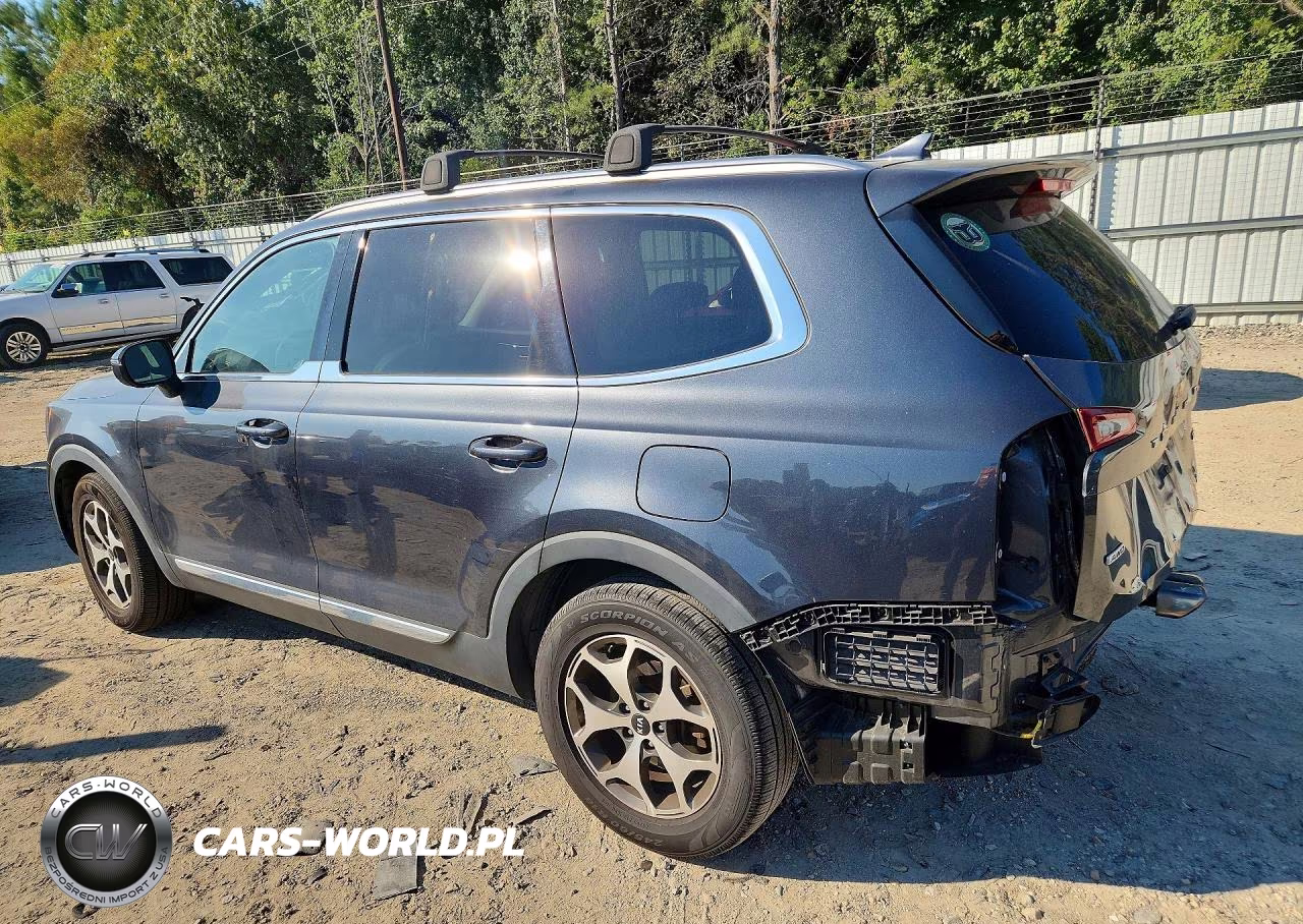 2020 Kia Telluride Ex VIN:5XYP3DHC0LG008027 - 2