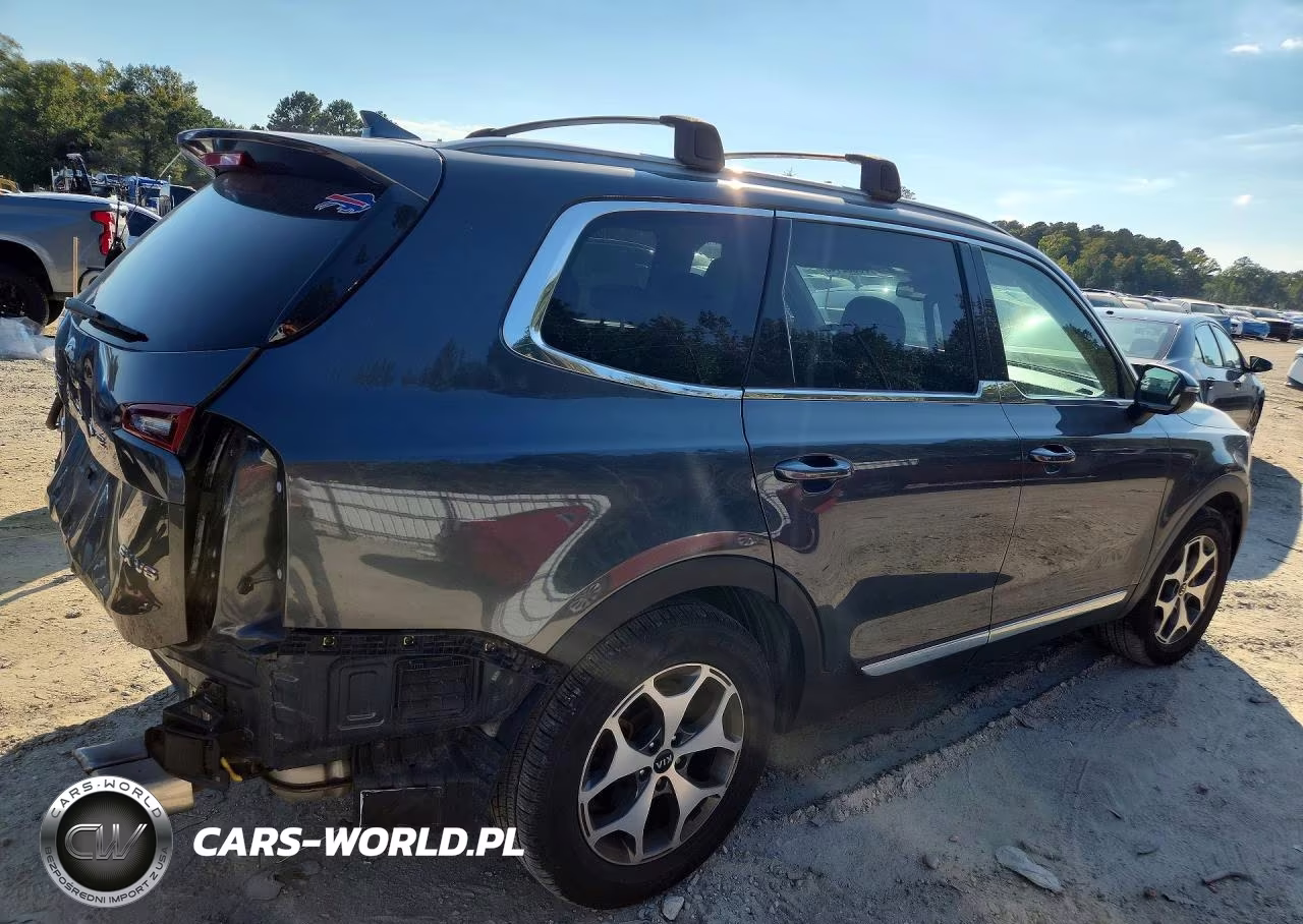 2020 Kia Telluride Ex VIN:5XYP3DHC0LG008027 - 3