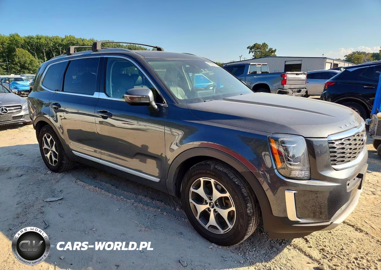2020 Kia Telluride Ex VIN:5XYP3DHC0LG008027 - 4