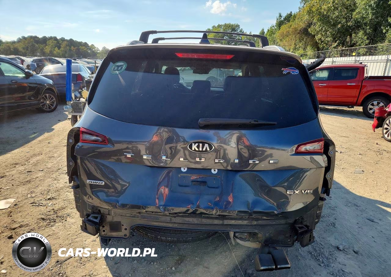 2020 Kia Telluride Ex VIN:5XYP3DHC0LG008027 - 6