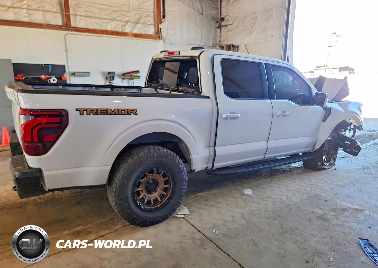 2025 Ford F150 Tremor VIN:1FTFW4L54SFA63500 - 3
