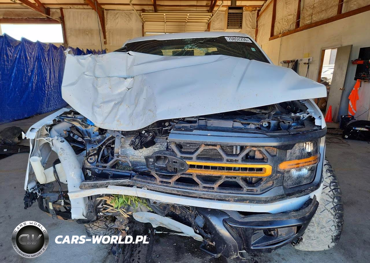 2025 Ford F150 Tremor VIN:1FTFW4L54SFA63500 - 5